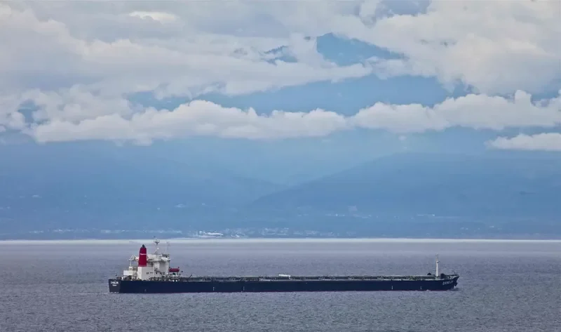 DANG Bulk Carrier IMO 9074195 photo 2