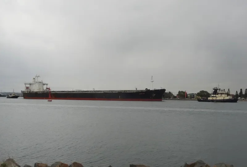 DANG Bulk Carrier IMO 9074195 photo 3