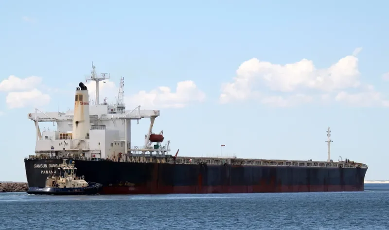 DANG Bulk Carrier IMO 9074195 photo 4