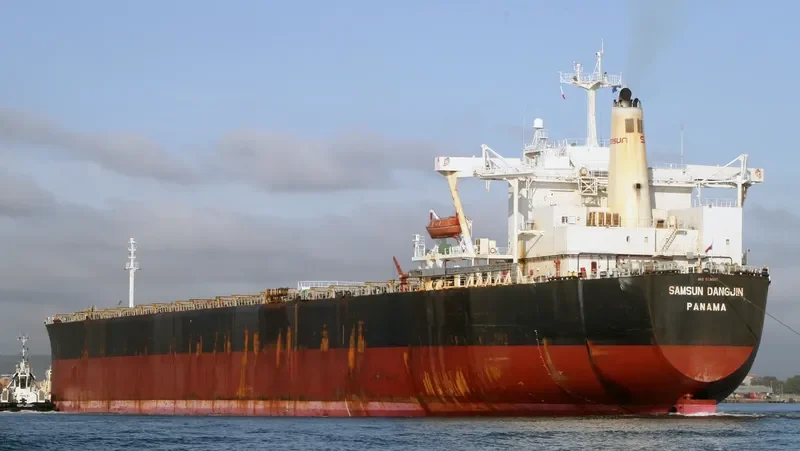 DANG Bulk Carrier IMO 9074195 photo 5
