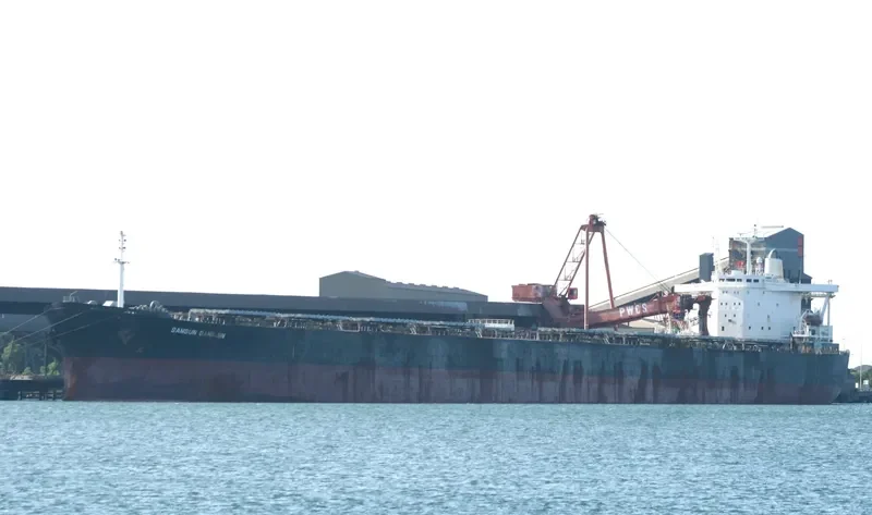 DANG Bulk Carrier IMO 9074195 photo 6