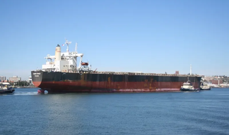 DANG Bulk Carrier IMO 9074195 photo 7