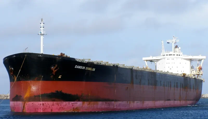 DANG Bulk Carrier IMO 9074195 photo 8