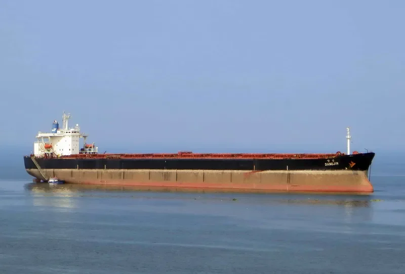 DANG Bulk Carrier IMO 9074195 photo 9
