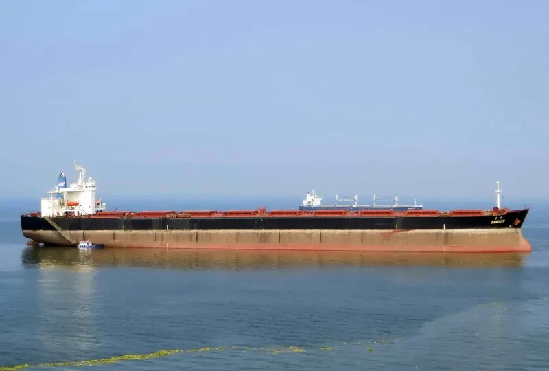 DANG Bulk Carrier IMO 9074195 photo 10