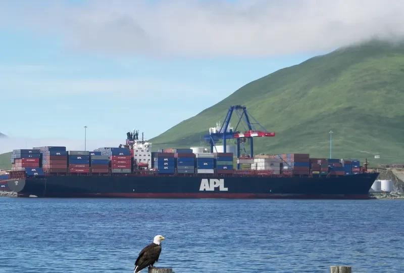 APL CHINA Container Ship IMO 9074389 photo 6