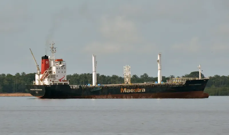 MAESTRA PACIFICO Container Ship IMO 9074406 photo 2