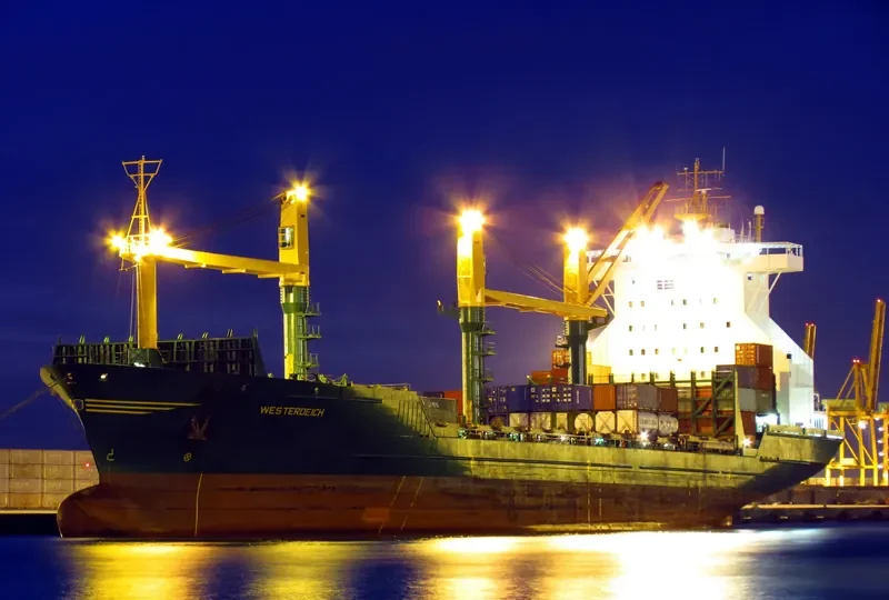 MAESTRA PACIFICO Container Ship IMO 9074406 photo 3