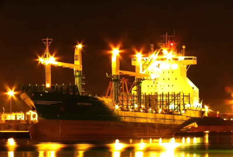 MAESTRA PACIFICO Container Ship IMO 9074406 photo 5