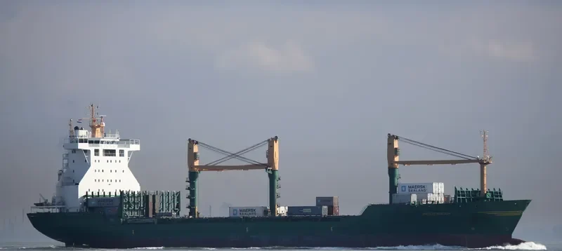 MAESTRA PACIFICO Container Ship IMO 9074406 photo 6