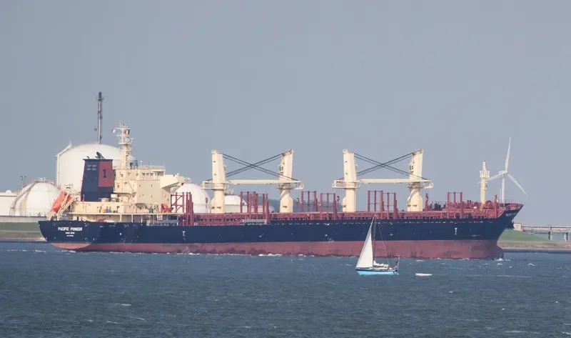 PACIFIC PIONEER Bulk Carrier IMO 9074482