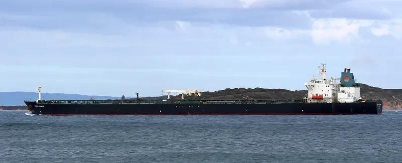 PACIFIC PIONEER Bulk Carrier IMO 9074482 photo 2