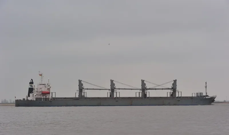 PACIFIC PIONEER Bulk Carrier IMO 9074482 photo 3