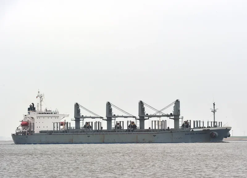 PACIFIC PIONEER Bulk Carrier IMO 9074482 photo 4