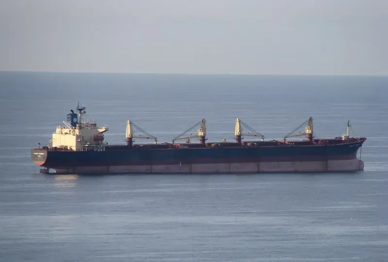 PACIFIC PIONEER Bulk Carrier IMO 9074482 photo 5
