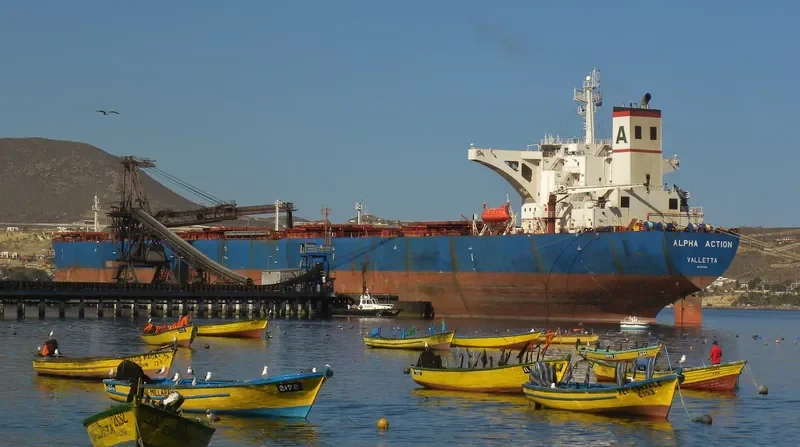 ALPHA ACTION Bulk Carrier IMO 9074494 photo 4
