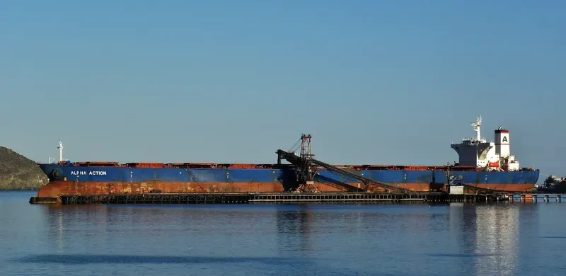 ALPHA ACTION Bulk Carrier IMO 9074494 photo 6