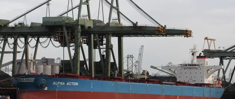 ALPHA ACTION Bulk Carrier IMO 9074494 photo 10