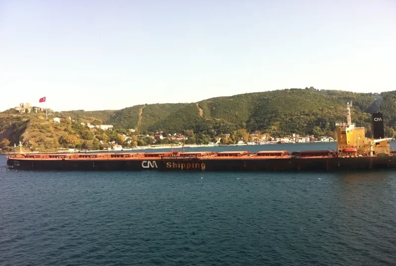 C.POLARIS Bulk Carrier IMO 9074509 photo 8