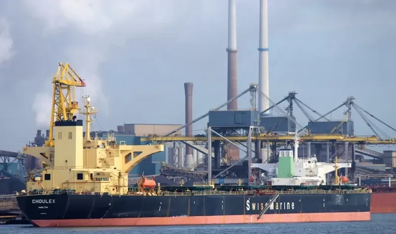 CHOULEX Bulk Carrier IMO 9074511