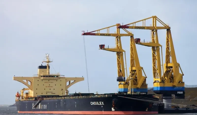 CHOULEX Bulk Carrier IMO 9074511 photo 2