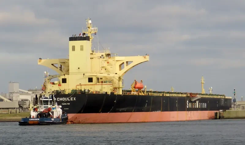 CHOULEX Bulk Carrier IMO 9074511 photo 4