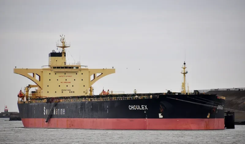 CHOULEX Bulk Carrier IMO 9074511 photo 6