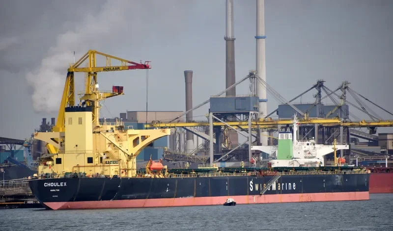CHOULEX Bulk Carrier IMO 9074511 photo 7