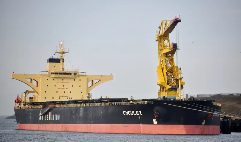 CHOULEX Bulk Carrier IMO 9074511 photo 8