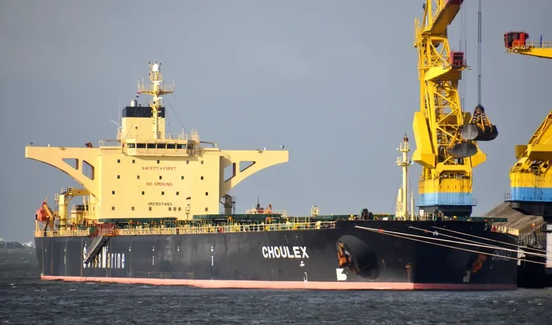 CHOULEX Bulk Carrier IMO 9074511 photo 9