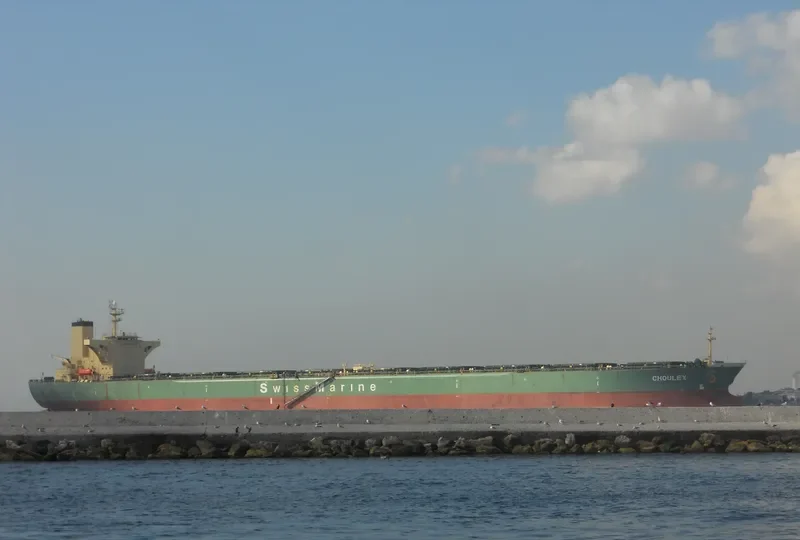 CHOULEX Bulk Carrier IMO 9074511 photo 10