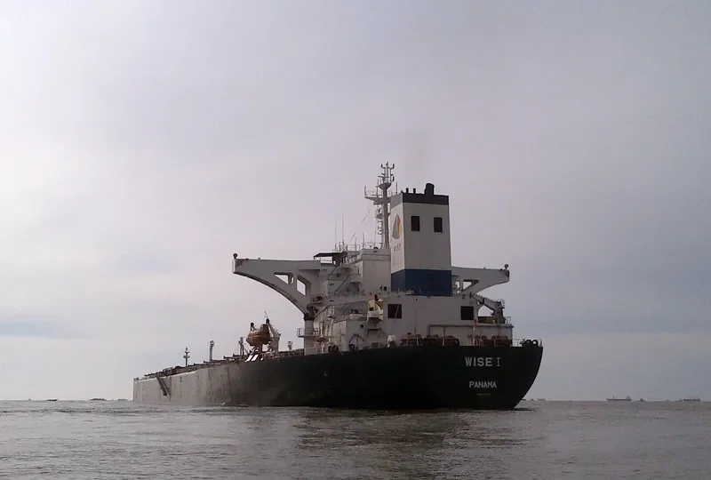 WISE I Bulk Carrier IMO 9074523 photo 3