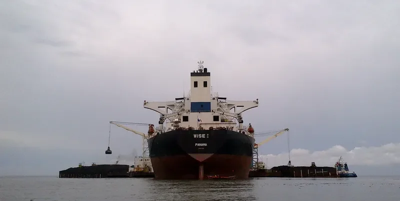 WISE I Bulk Carrier IMO 9074523 photo 4