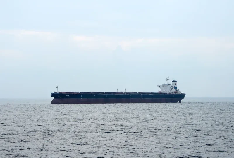 WISE I Bulk Carrier IMO 9074523 photo 5
