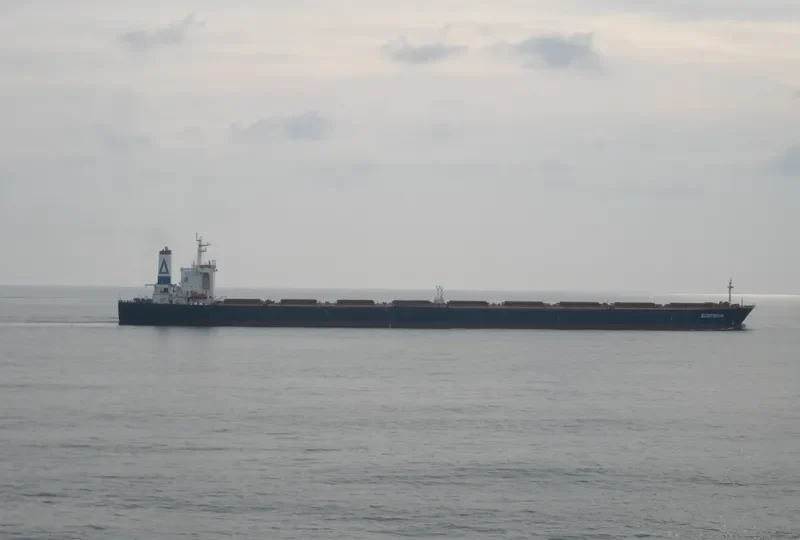 WISE I Bulk Carrier IMO 9074523 photo 6