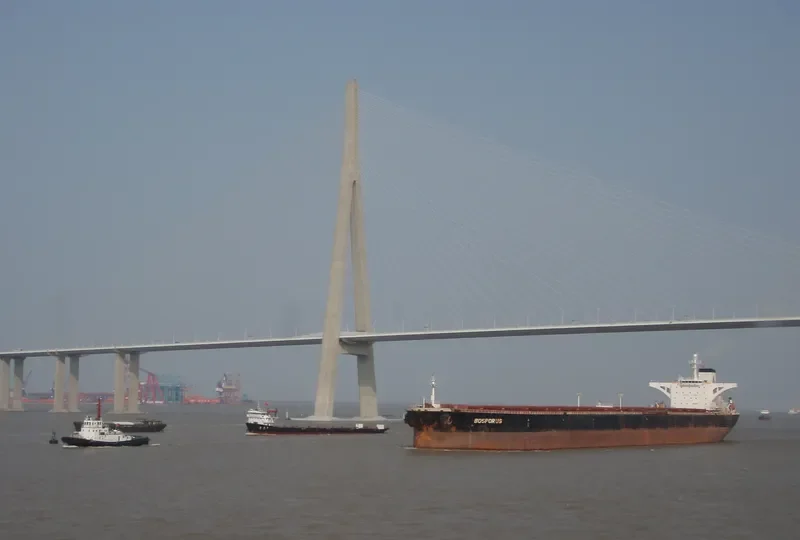 WISE I Bulk Carrier IMO 9074523 photo 8