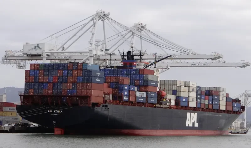 APL KOREA Container Ship IMO 9074535 photo 3
