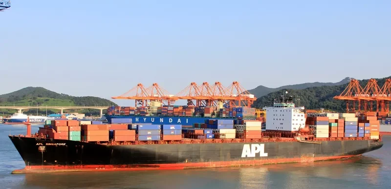 APL SINGAPORE Container Ship IMO 9074547 photo 8