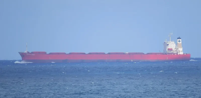SAMJOHN SPIRIT Bulk Carrier IMO 9074676