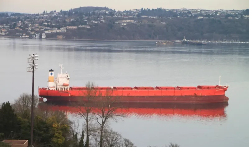 SAMJOHN SPIRIT Bulk Carrier IMO 9074676 photo 2