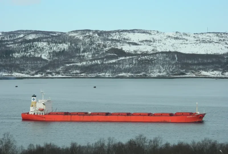 SAMJOHN SPIRIT Bulk Carrier IMO 9074676 photo 5