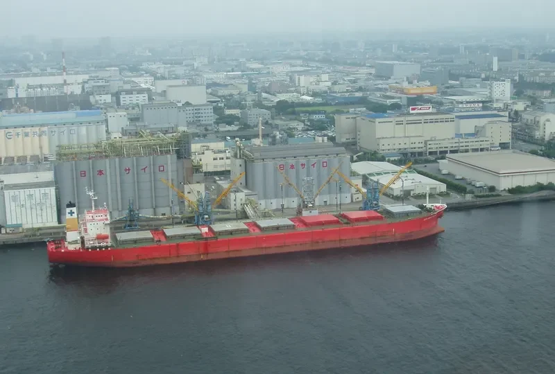 SAMJOHN SPIRIT Bulk Carrier IMO 9074676 photo 8