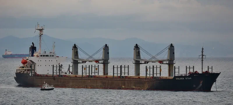 OCEAN STAR Bulk Carrier IMO 9074690
