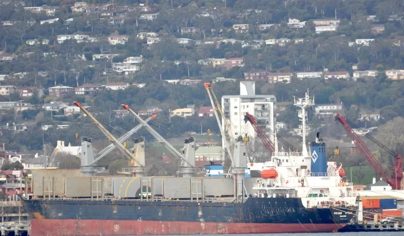 OCEAN STAR Bulk Carrier IMO 9074690 photo 3