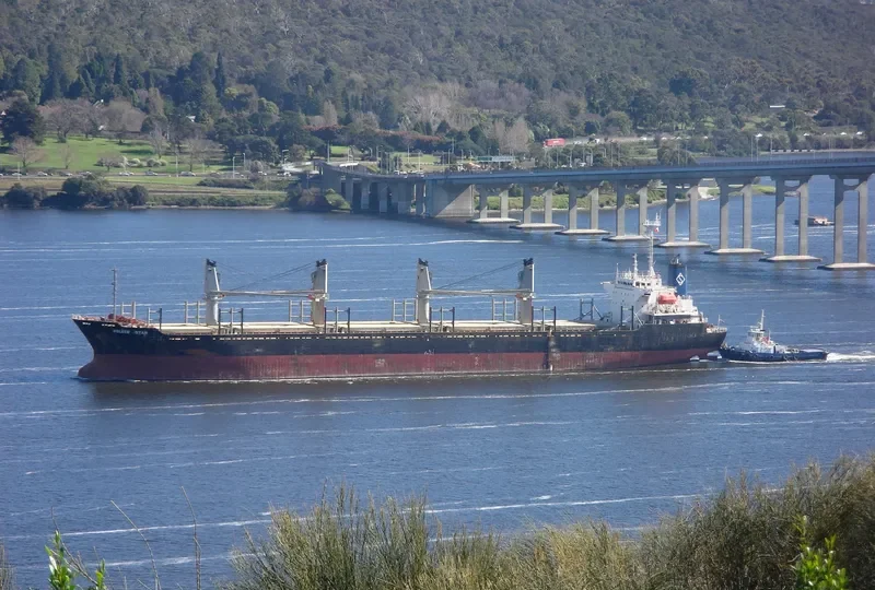 OCEAN STAR Bulk Carrier IMO 9074690 photo 6