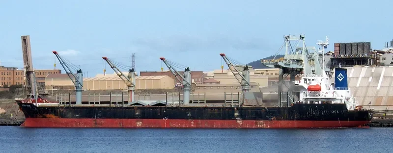 OCEAN STAR Bulk Carrier IMO 9074690 photo 7