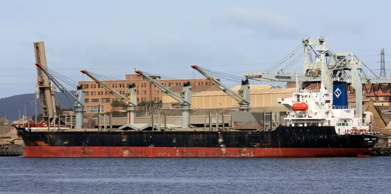 OCEAN STAR Bulk Carrier IMO 9074690 photo 8