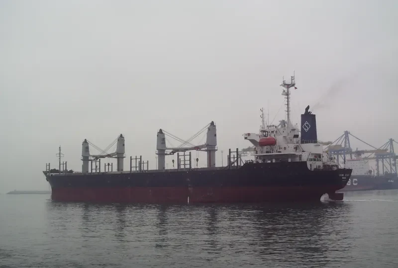 OCEAN STAR Bulk Carrier IMO 9074690 photo 10