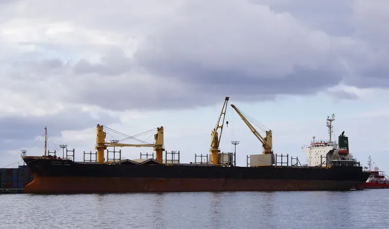 PLOYPAILIN NAREE Bulk Carrier IMO 9074717 photo 4