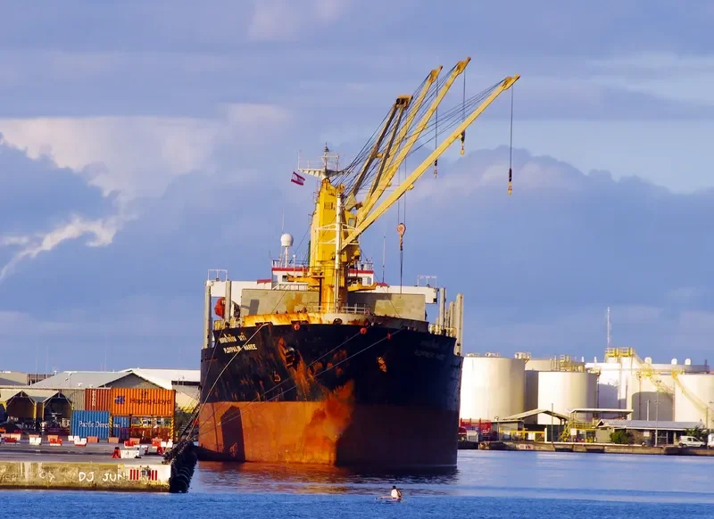 PLOYPAILIN NAREE Bulk Carrier IMO 9074717 photo 5